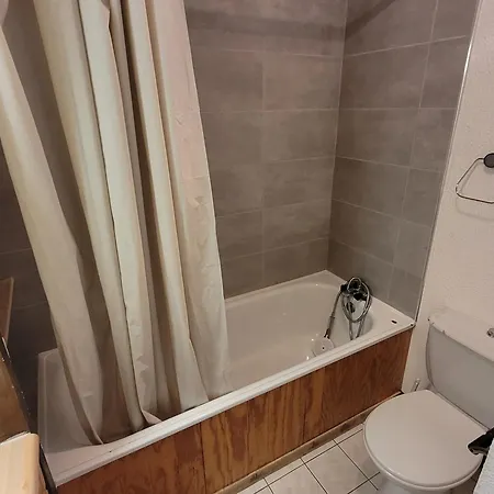 Skis Aux Pieds - Animaux Bienvenus - Fr-1-181-2607