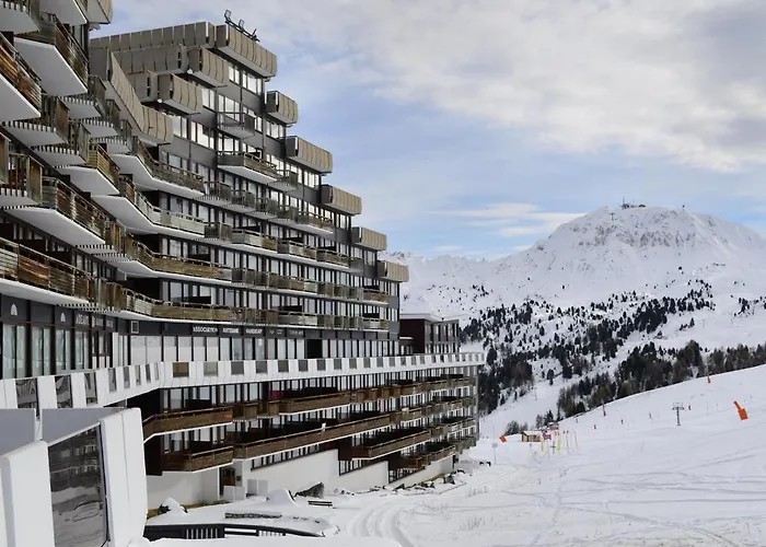 Skis Aux Pieds - Animaux Bienvenus - Fr-1-181-2607 *