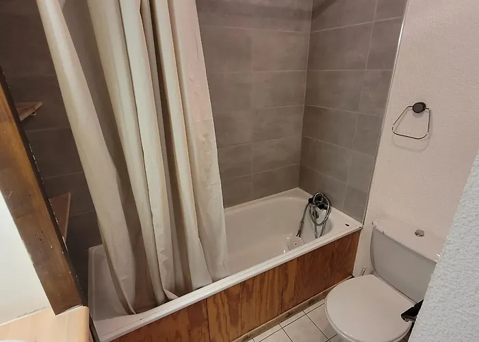 Skis Aux Pieds - Animaux Bienvenus - Fr-1-181-2607