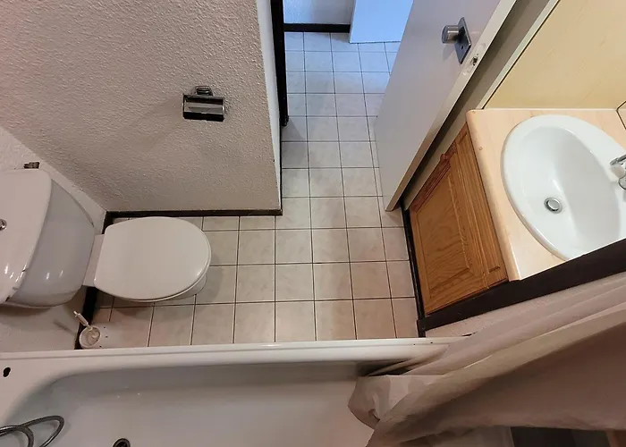 Skis Aux Pieds - Animaux Bienvenus - Fr-1-181-2607 Apartment La Plagne