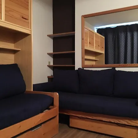 Skis Aux Pieds - Animaux Bienvenus - Fr-1-181-2607 Apartament *