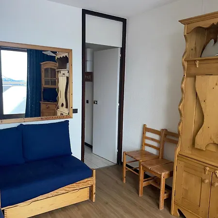 Skis Aux Pieds - Animaux Bienvenus - Fr-1-181-2607 * La Plagne